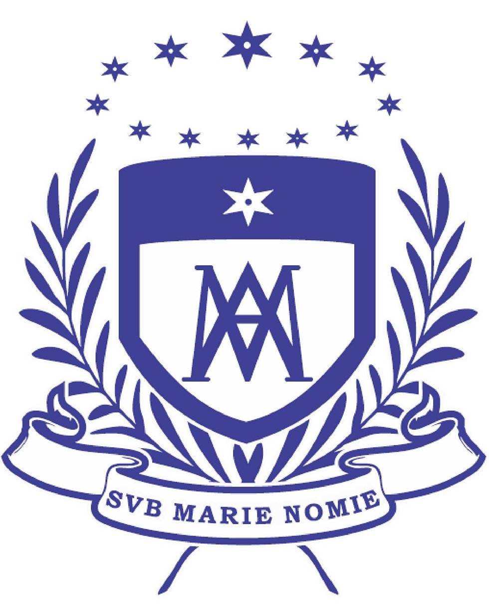 St Marys Putaruru Auctions
